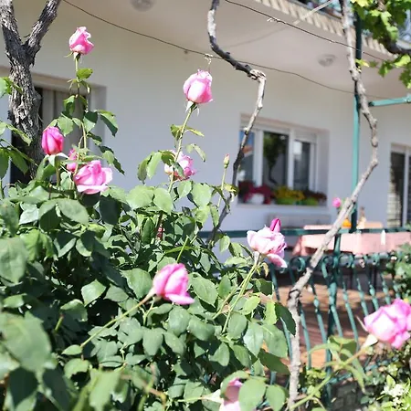 Marin Apartamento Donji Seget