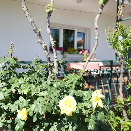 Marin アパート ドニー・セゲット